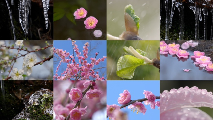 春暖花开 春天冰雪融化 万物复苏 春雨