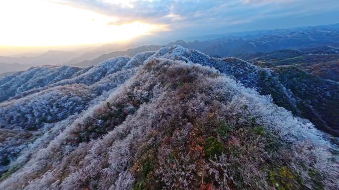 山顶雾凇