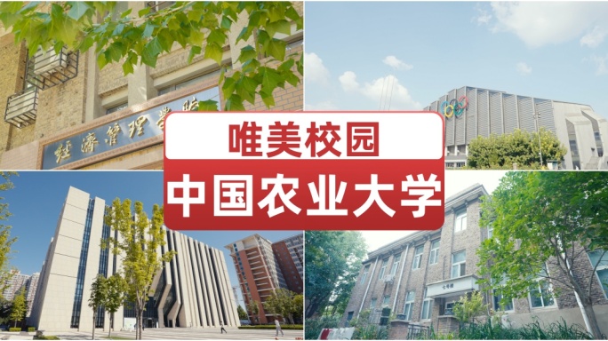 中国农业大学 校园唯美空镜