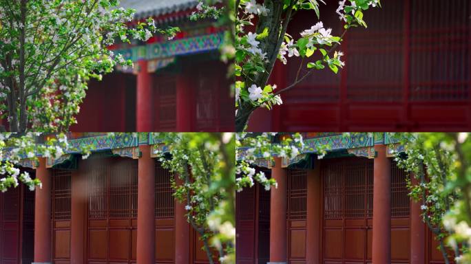 春天古建筑