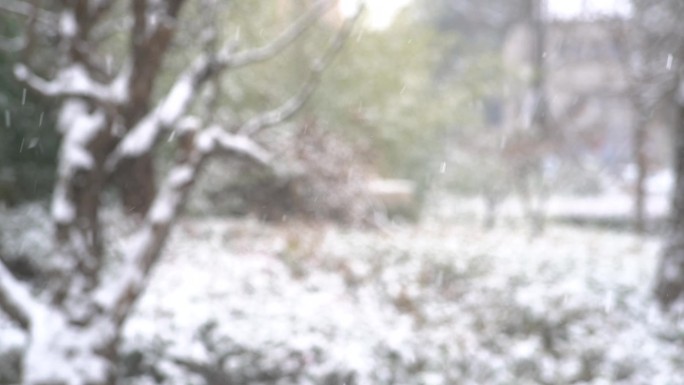 冬天下雪雪景小雪中雪大雪雪花飘落舞台背景