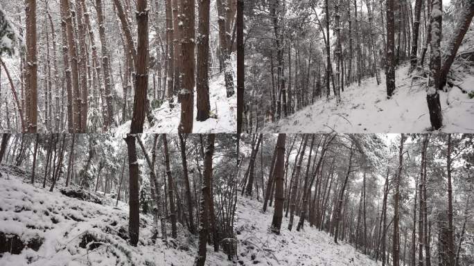 11组雪景拍摄4K120帧