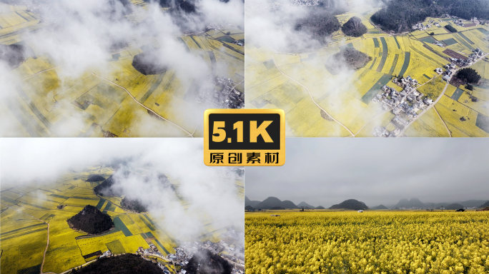 5K-清晨的罗平油菜花云海，云层之下罗平