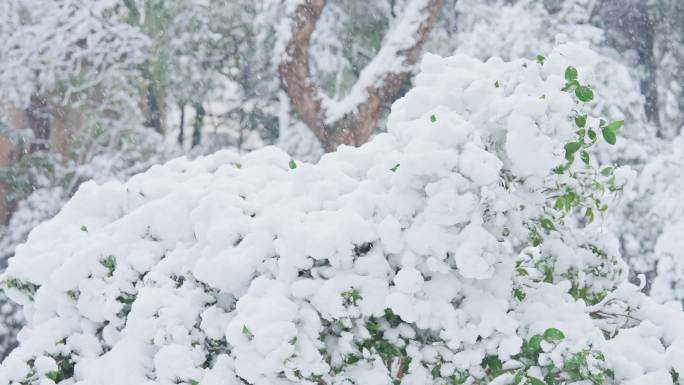 下雪唯美雪景公园游玩堆雪人下雪升格镜头