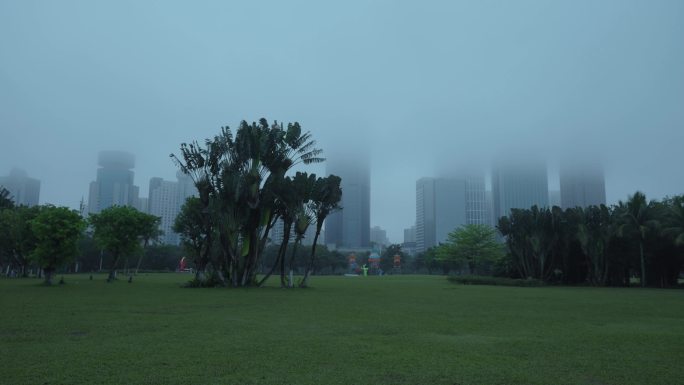 万绿园雾景