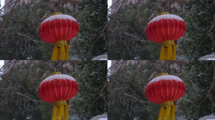 冬天下雪雪景小雪中雪大雪雪花飘落舞台背景