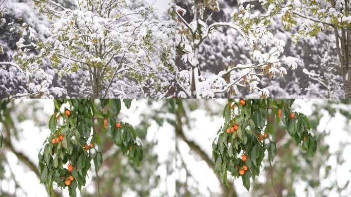 9组雪景拍摄4K120帧