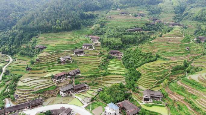 农业种植梯田稻田航拍