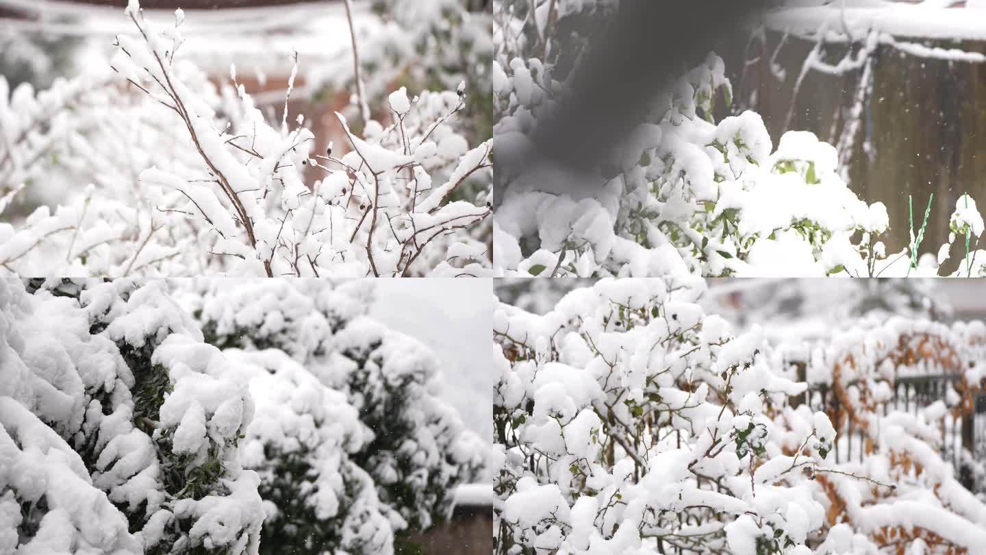 10组雪景拍摄4K120帧