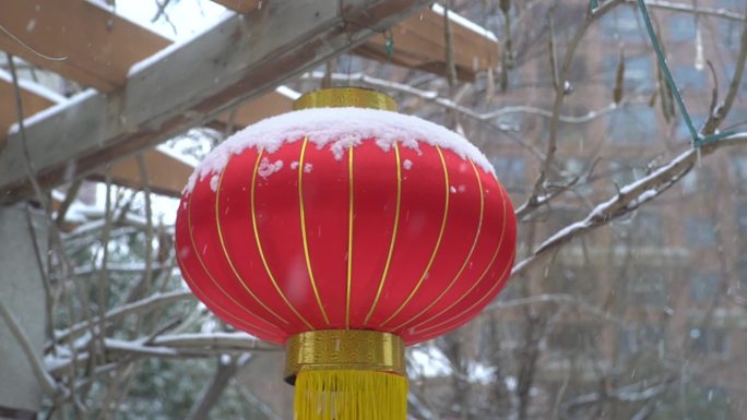 冬天下雪雪景小雪中雪大雪雪花飘落舞台背景