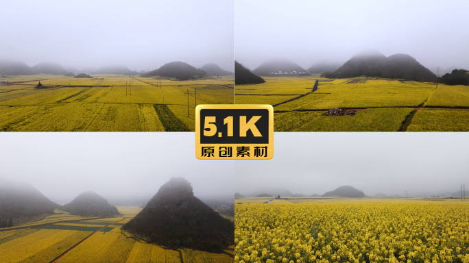 5K-清晨的罗平，罗平油菜花海，金鸡峰丛