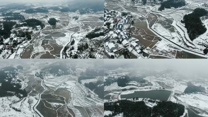 农业种植农田冬天雪景水田航拍