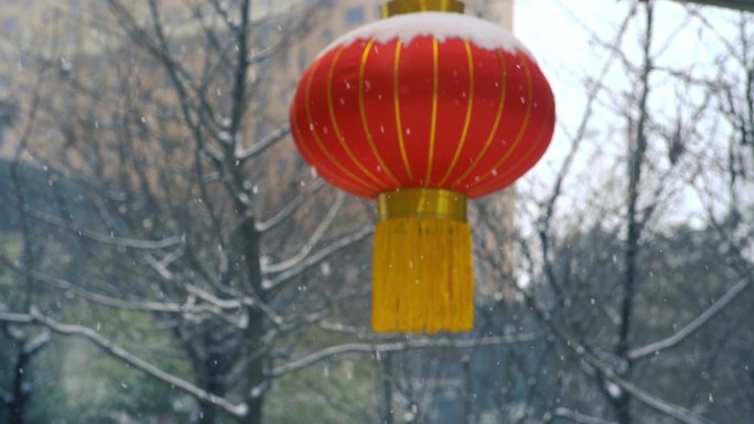 冬天下雪雪景小雪中雪大雪雪花飘落舞台背景