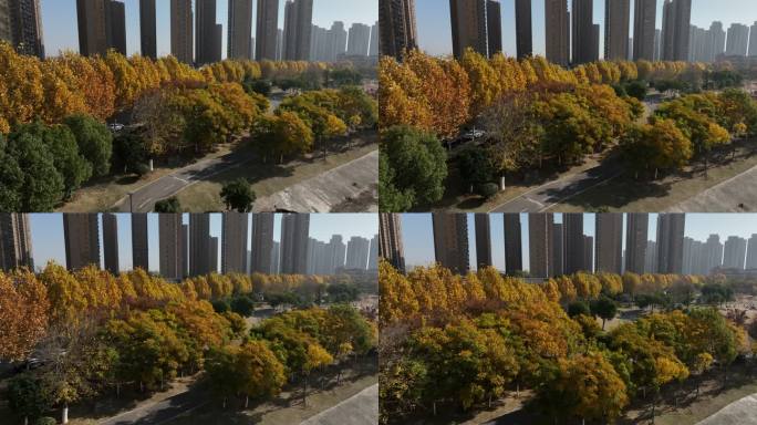 合肥梅冲湖公园【4K】航拍