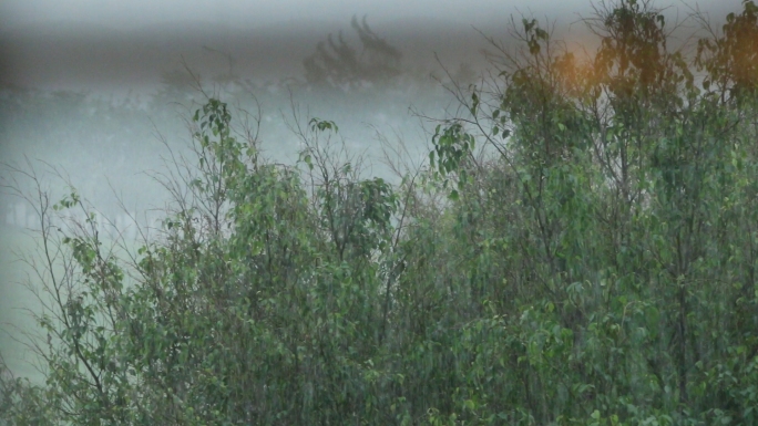 窗外大雨