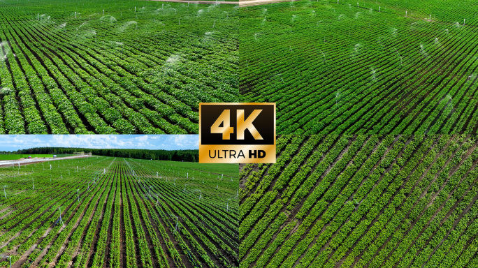 4K航拍高标准农田水肥一体化灌溉