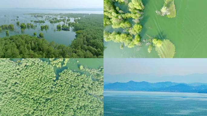 多镜头航拍4K湿地湖泊生态河流保护环境