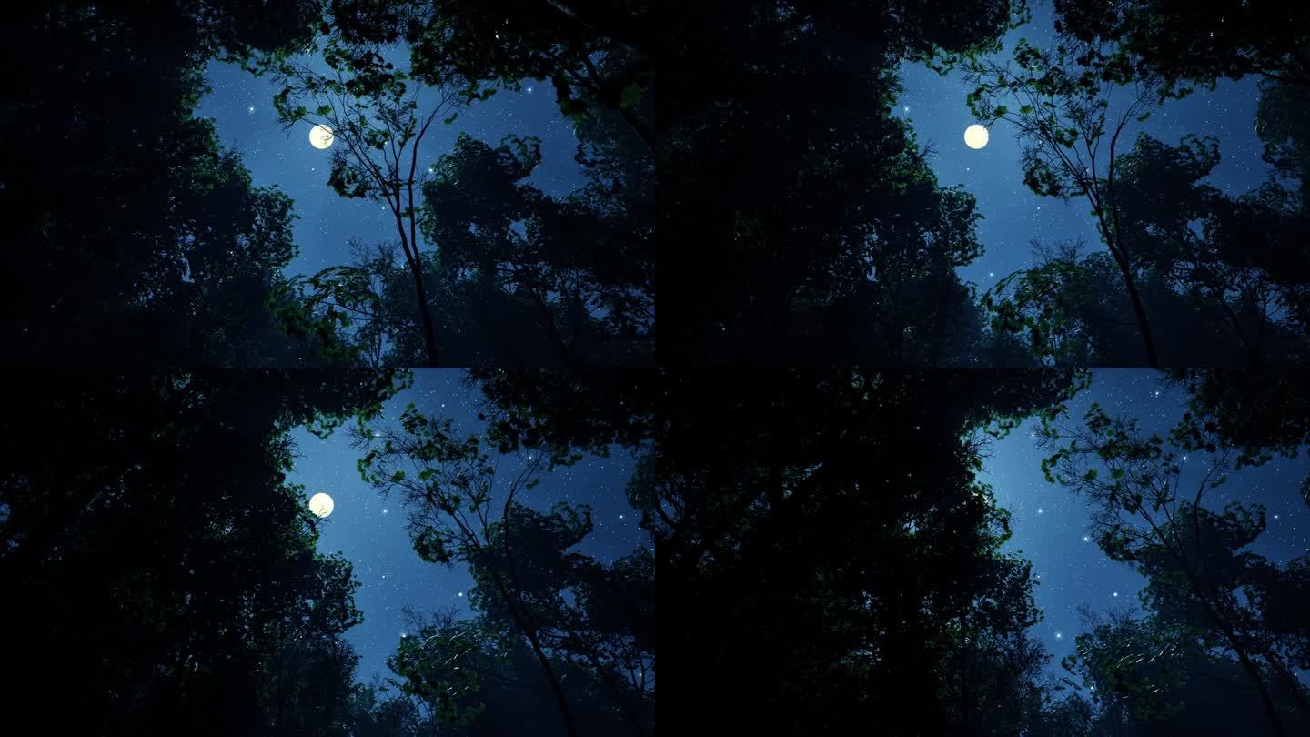 月光照亮的夜间森林。