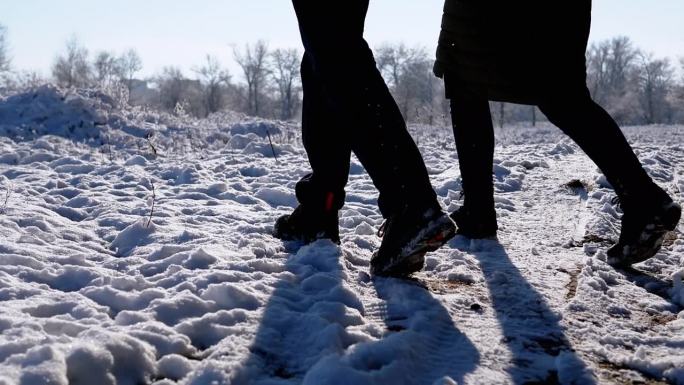一对恩爱的夫妇走过冬林，踩着飘落的雪