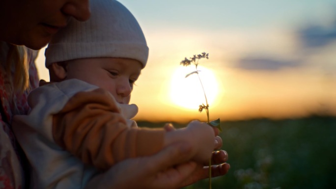 日落时分，可爱的小男孩和妈妈在空地上抱着花，手持SLO镜头