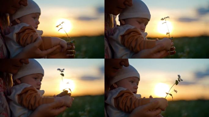 日落时分，可爱的小男孩和妈妈在空地上抱着花，手持SLO镜头