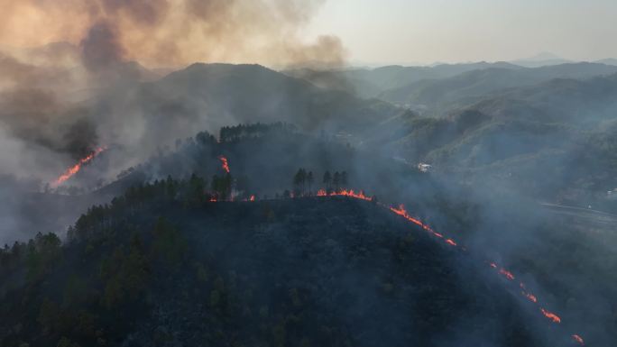 炼山森林防火山火遮天蔽日