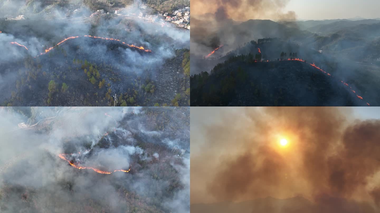 炼山森林防火山火遮天蔽日