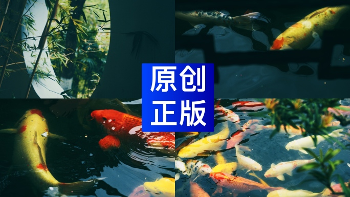 中式锦鲤意境金鱼戏水鲤鱼园林金鱼鱼池