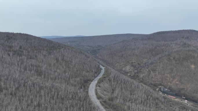 盘旋在大兴安岭的山间公路