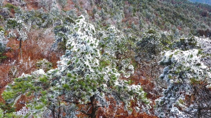 台州黄岩大寺基，雾凇航拍