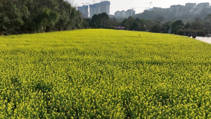 花溪十里河滩