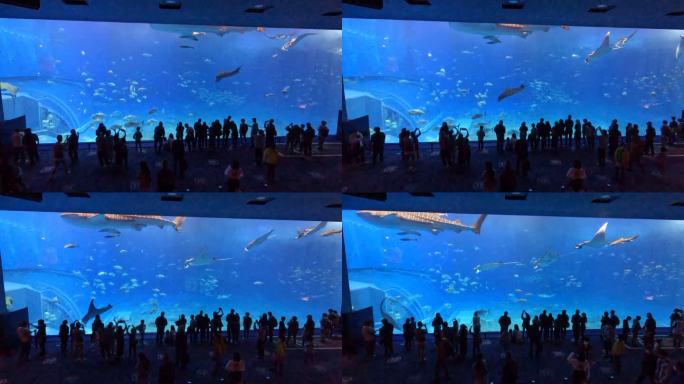 日本冲绳美丽海水族馆全景人头攒动海洋生物