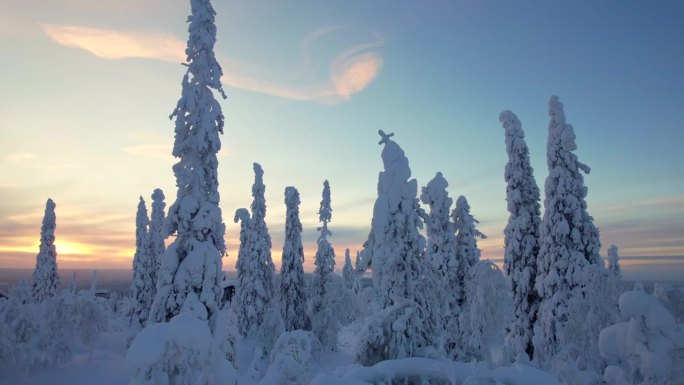 在芬兰拉普兰，北极圈，黄昏的雪景中，无人机在树间飞行