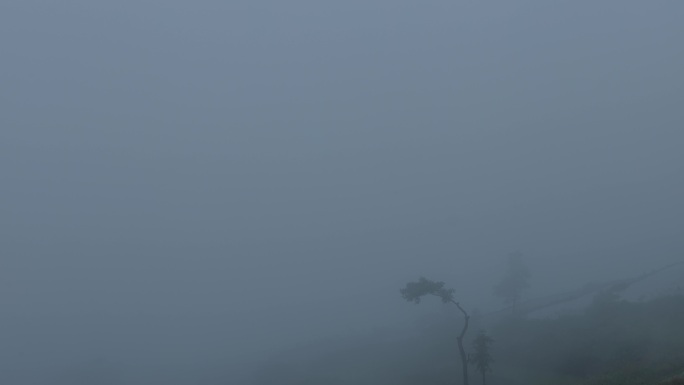 高山上的梯田云雾缭绕渐渐全覆盖农家水稻