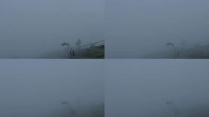 高山上的梯田云雾缭绕渐渐全覆盖农家水稻