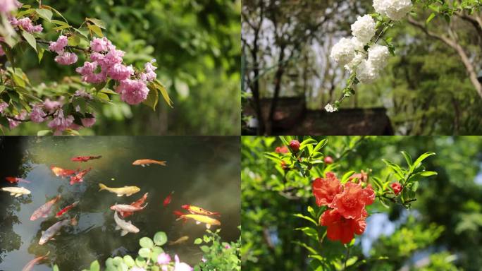 【原创16镜】春天春意盎然百花盛放各种花