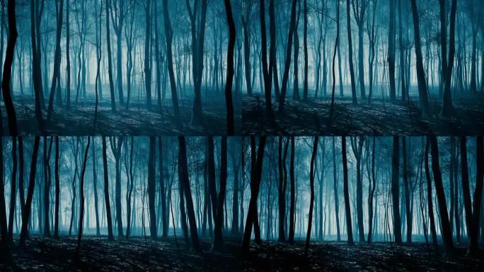 日落时雾气笼罩森林的怪异景象。