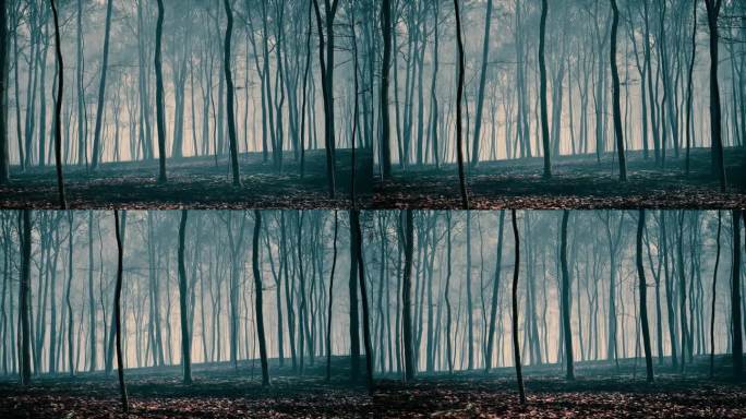 黄昏时迷雾笼罩的可怕森林