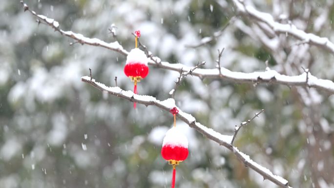 漫天大雪中的小红灯笼