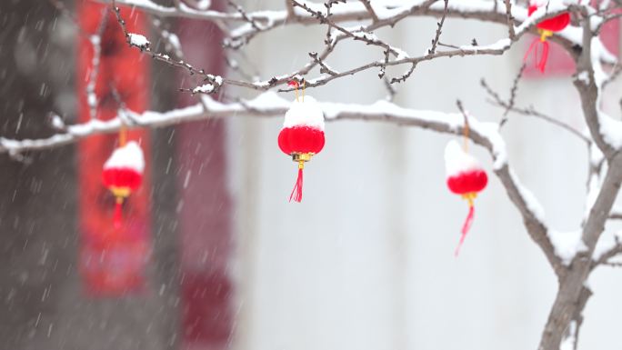 门前的红灯笼在雪中摇曳