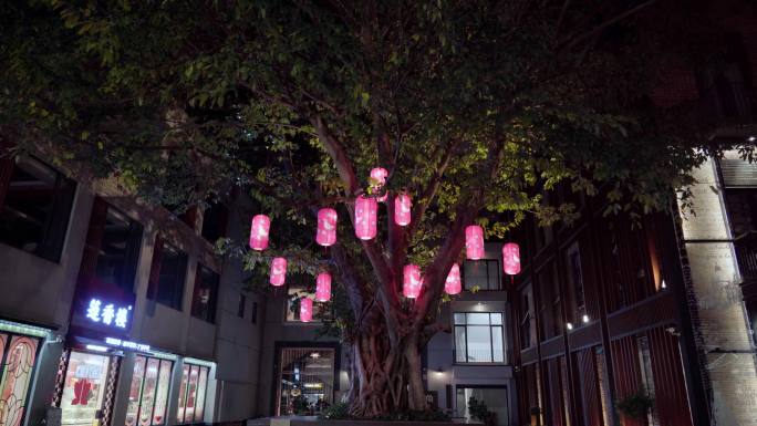 4K广州永庆坊月亮桥，花灯，夜晚空镜