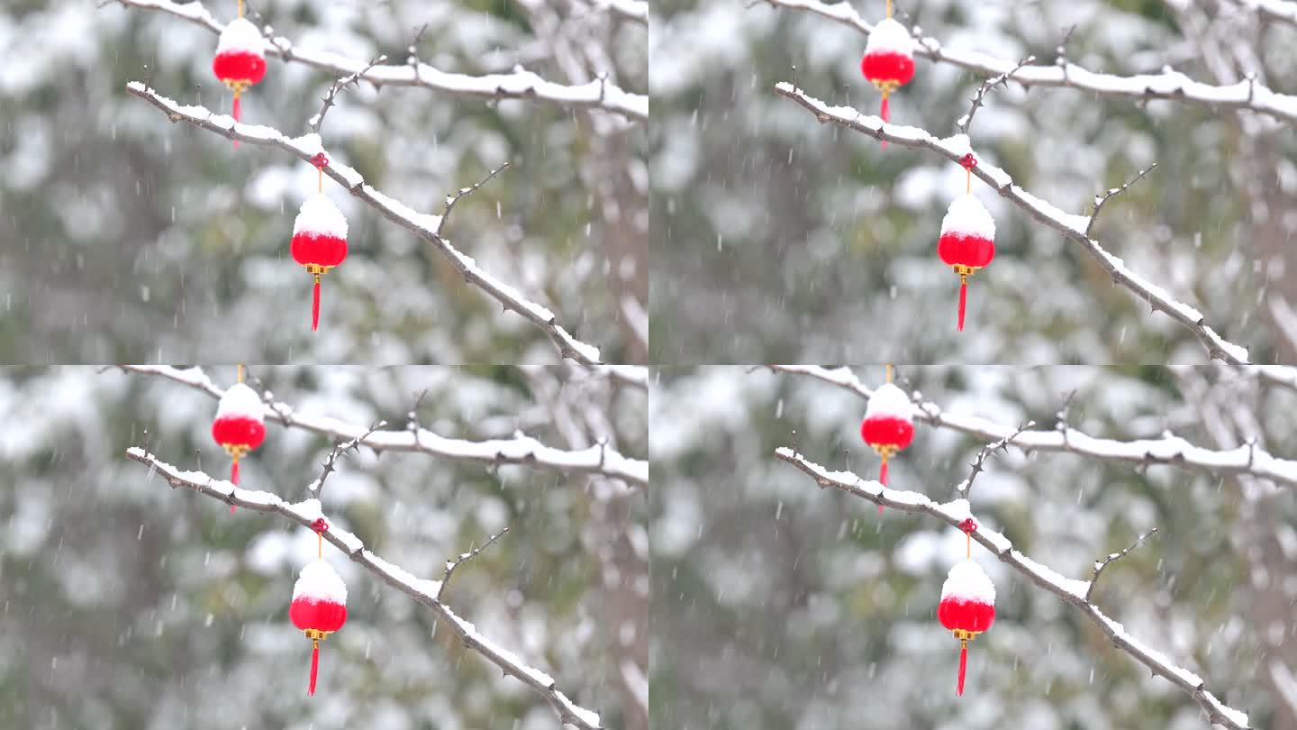 实拍雪中的红灯笼