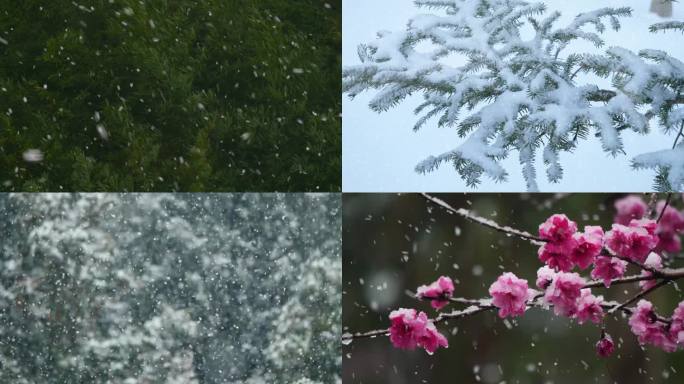 大雪 雪景 鹅毛大雪