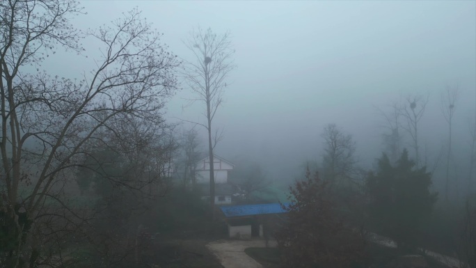 早晨村庄的朦胧大雾大口呼吸新鲜空气