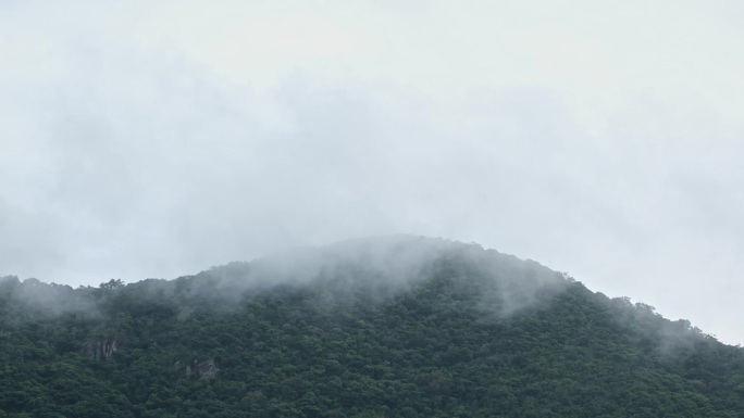 雨后 雾 山雾 雨雾 云雾