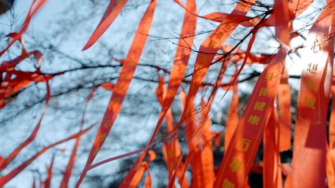 祈福红飘带锦鲤金鱼寺庙祈福好运心愿许愿