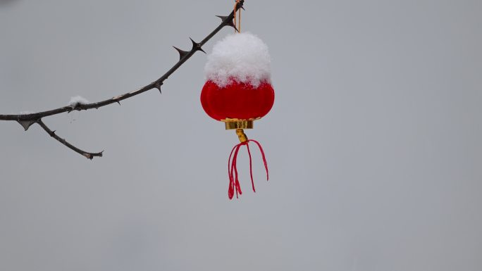 小红灯笼上落满雪