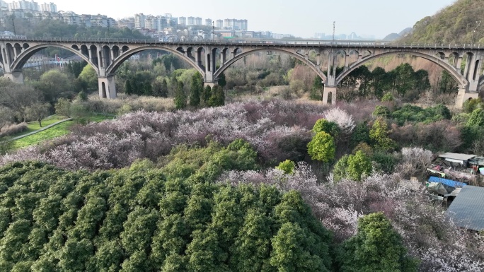 十里河滩