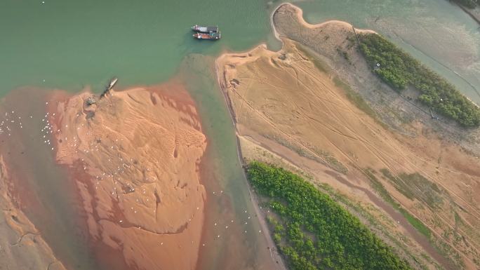 湛江乐民港红树林白鹭滩涂湿地保护区航拍