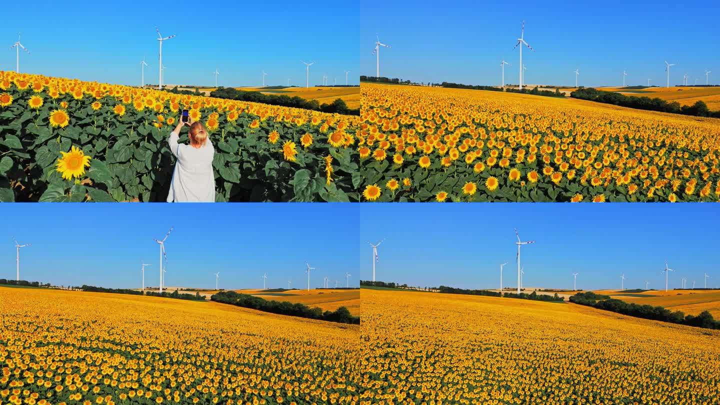 空中捕捉美丽:女子拍摄向日葵和风力涡轮机在农村的辉煌